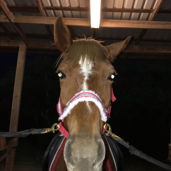 Meet the Posher Other - Meet your Posher, Kennedy